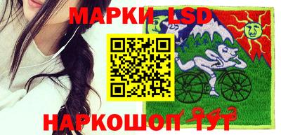 spice Кунгур