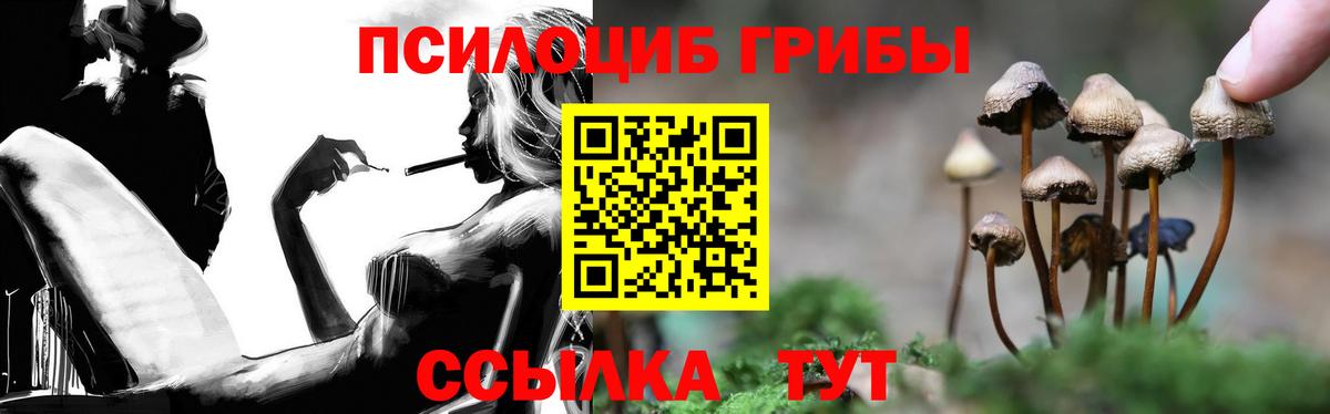 Галлюциногенные грибы Psilocybe  продажа наркотиков  Псилоцибиновые грибы GOLDEN TEACHER  Ивантеевка  Вход с VPN 