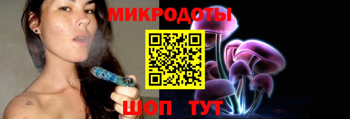 Галлюциногенные грибы Psilocybe Ивантеевка